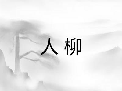 人柳