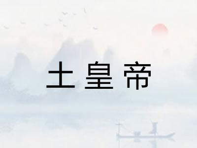 土皇帝