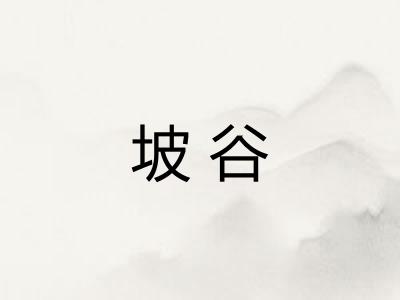 坡谷