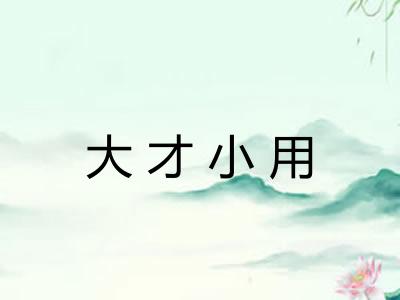 大才小用