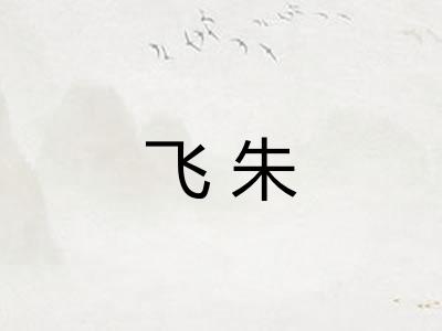 飞朱