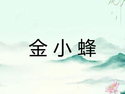 金小蜂