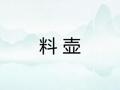 料壶