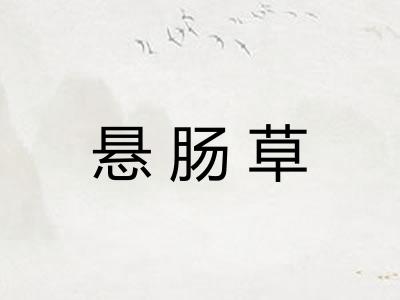 悬肠草