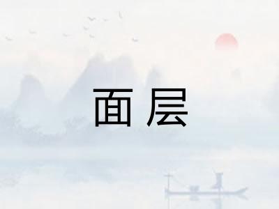 面层