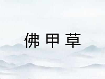 佛甲草