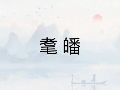 耄皤