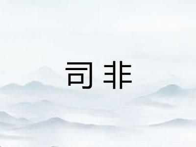 司非