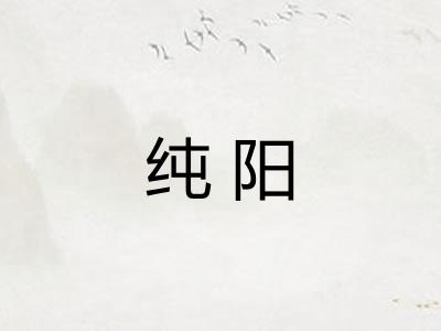 纯阳