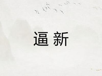 逼新