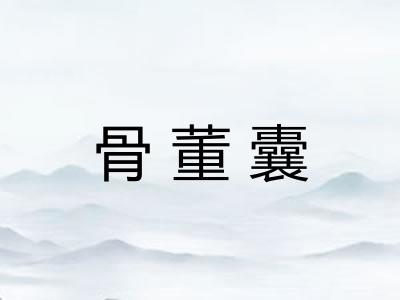 骨董囊