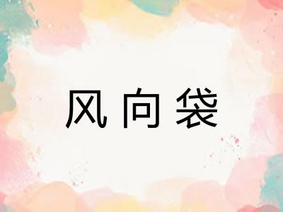 风向袋