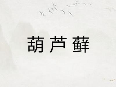 葫芦藓