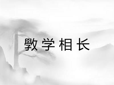 斆学相长