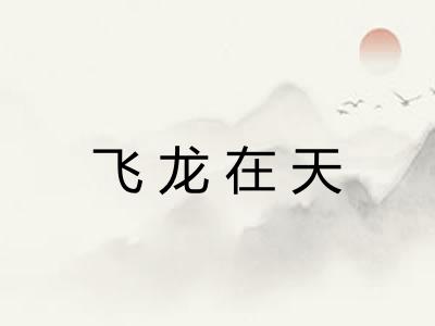 飞龙在天