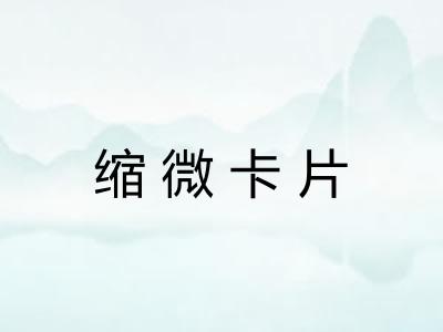 缩微卡片
