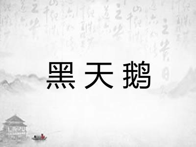 黑天鹅