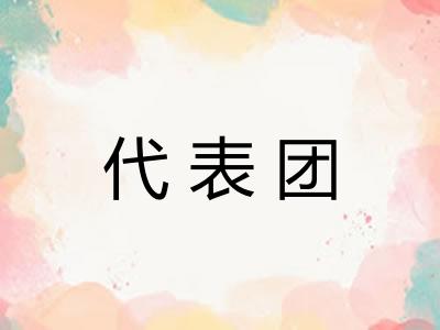 代表团