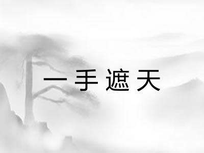 一手遮天