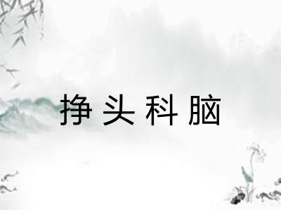 挣头科脑
