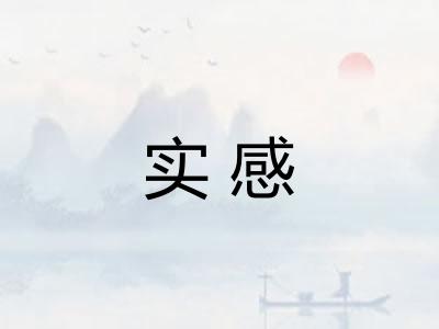 实感