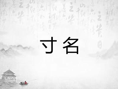 寸名