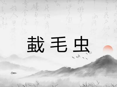 蛓毛虫