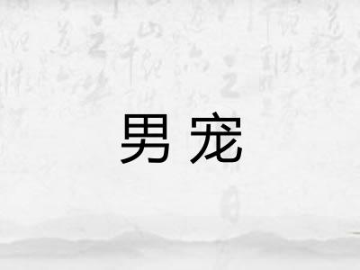 男宠