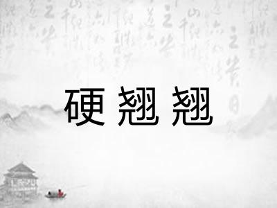 硬翘翘