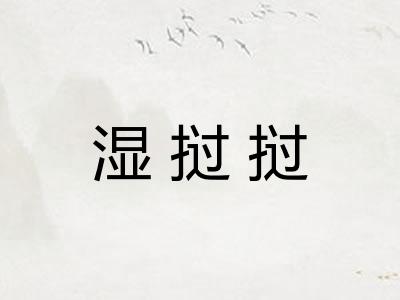 湿挝挝