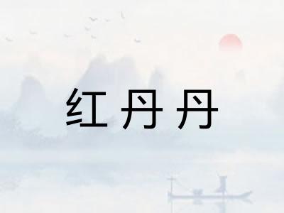 红丹丹
