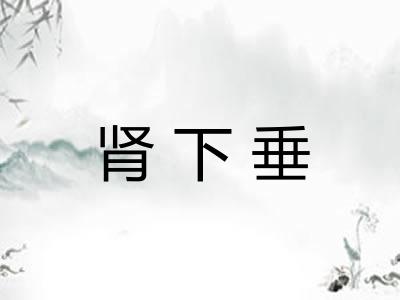 肾下垂