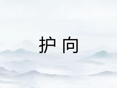护向
