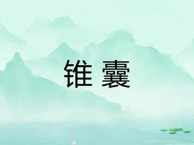 锥囊
