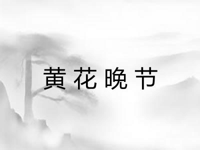 黄花晚节