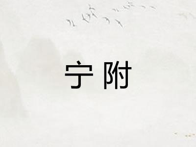 宁附