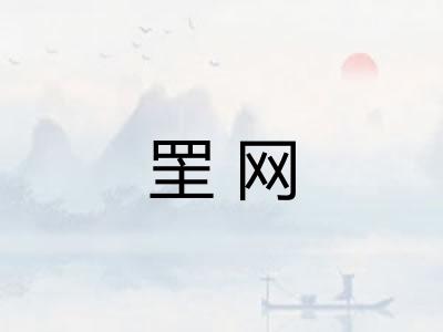 罜网