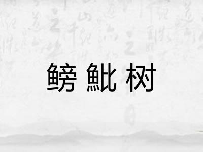鳑魮树