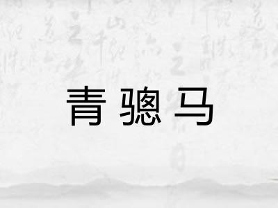 青骢马