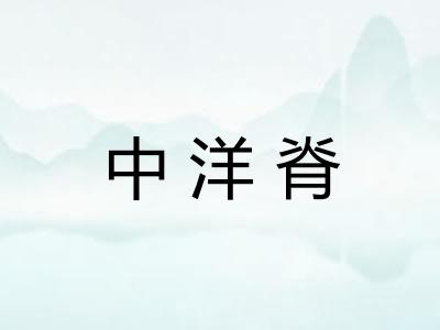 中洋脊