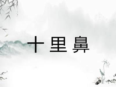 十里鼻
