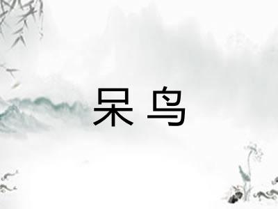 呆鸟