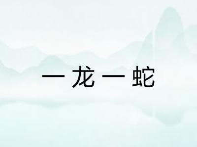 一龙一蛇