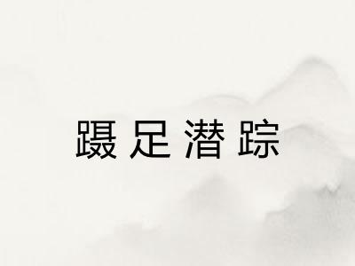 蹑足潜踪