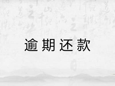 逾期还款