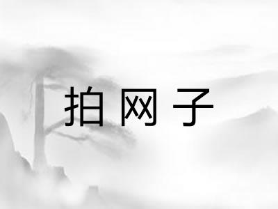 拍网子