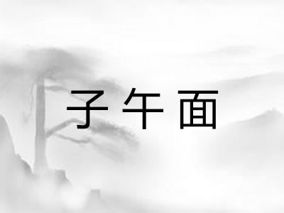 子午面