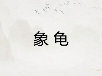 象龟