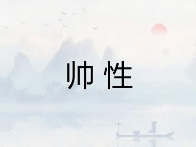 帅性