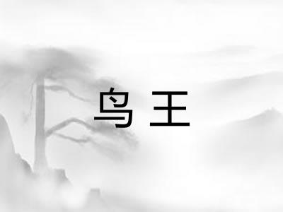 鸟王